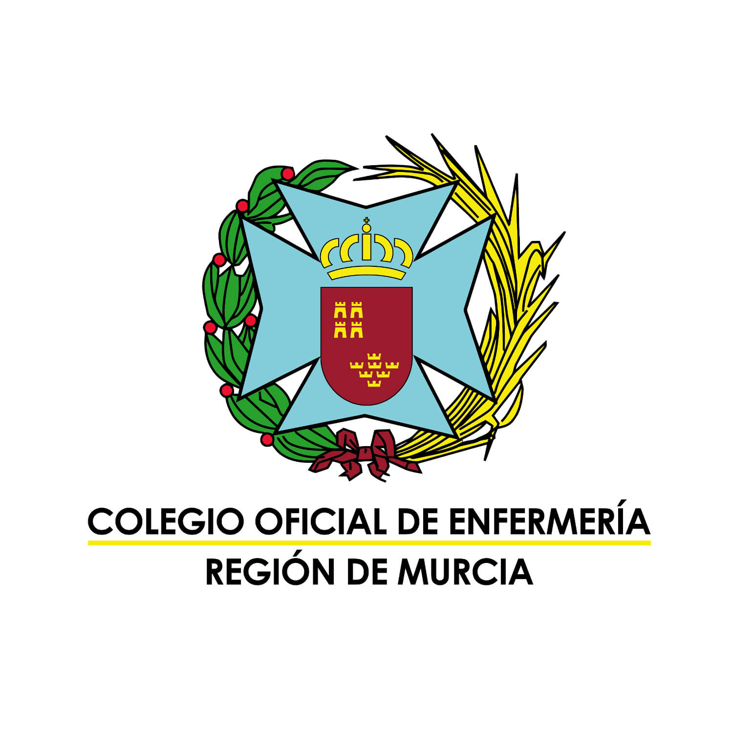 Colegio Oficial de Enfermería de Murcia